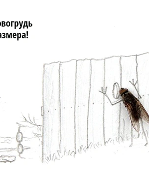 Cкрепы по Дарвину: ученые нашли причину моногамии