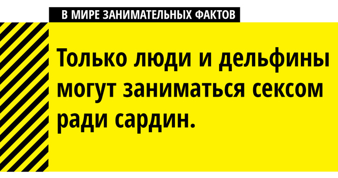 В мире невыносимо занимательных фактов — тягостное продолжение! В мире невыносимо занимательных фактов — тягостное продолжение!