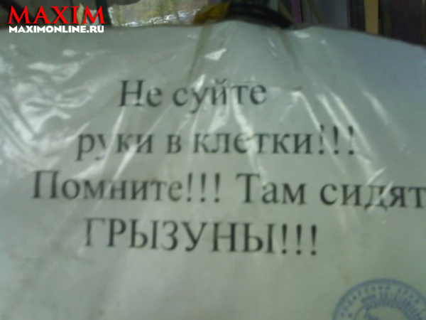 Апрельское обострение Апрельское обострение