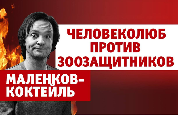 Фото №1 - Александр Маленков против зоозащитников (4-й выпуск нашего шоу «Маленков-коктейль»)