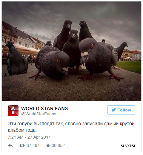 10 самых смешных твитов недели со всего света!