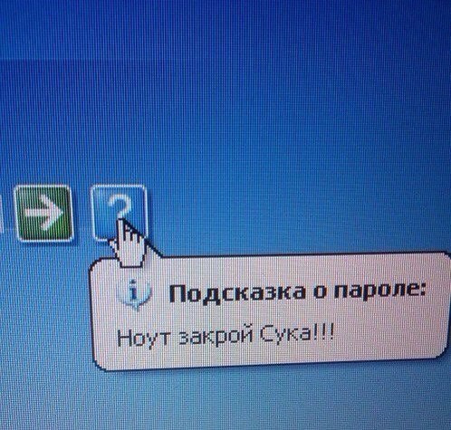 Самые смешные картинки недели Самые смешные картинки недели
