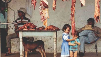 Как сохранить мясо без холодильника