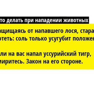 Зайки из склепа: лучшие способы защиты от братьев наших меньших