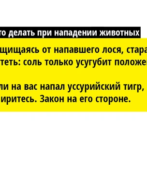 Зайки из склепа: лучшие способы защиты от братьев наших меньших