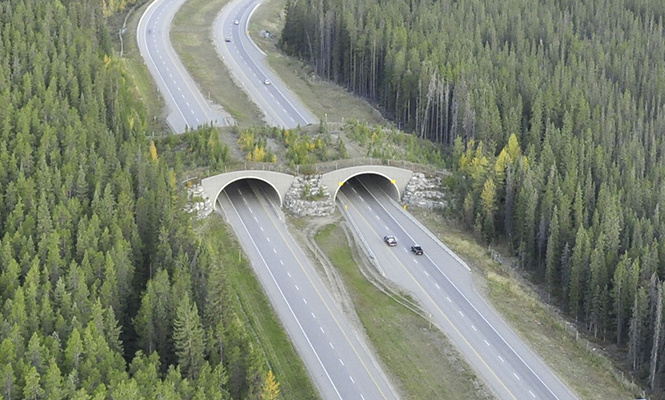 15 самых-самых мостов 15 самых-самых мостов