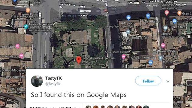 Пользователь Twitter заявил, что нашел «лучшее фото в Картах.Google»