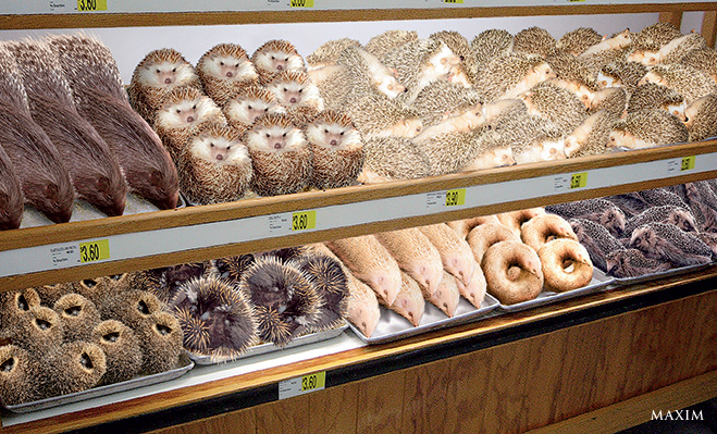 Bakery Bakery