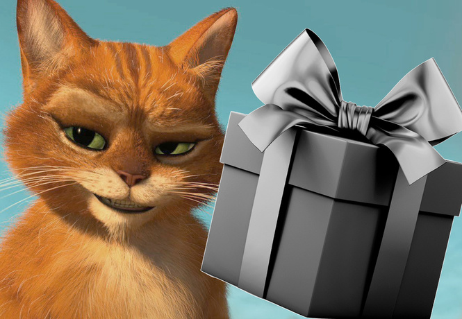 Кот сгрыз наушники и принес за них хозяину необычный и пугающий подарок