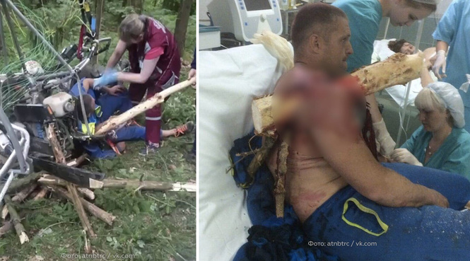 Белорус насадил себя на дерево, когда упал с паратрайка Белорус насадил себя на дерево, когда упал с паратрайка