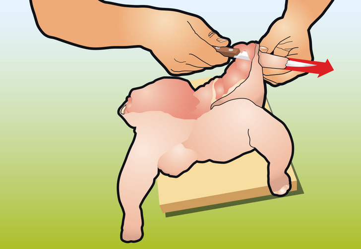 Фото №7 - Как вытащить все кости из курицы: инструкция в картинках