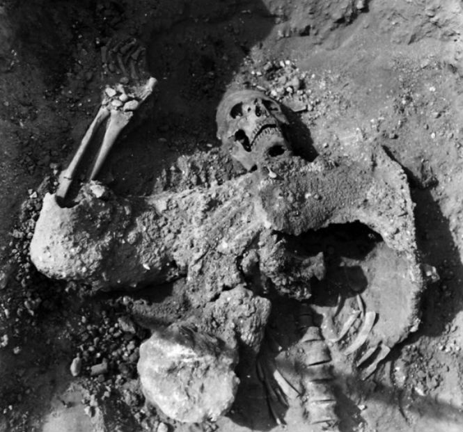 Первый концлагерь, первый теракт и еще 6 адских исторических первенцев Первый концлагерь, первый теракт и еще 6 адских исторических первенцев