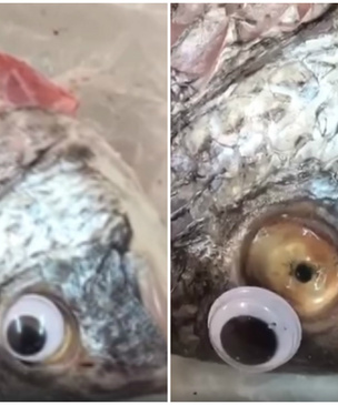 Магазин выдавал лежалую рыбу за свежую, приклеивая ей пластиковые глаза