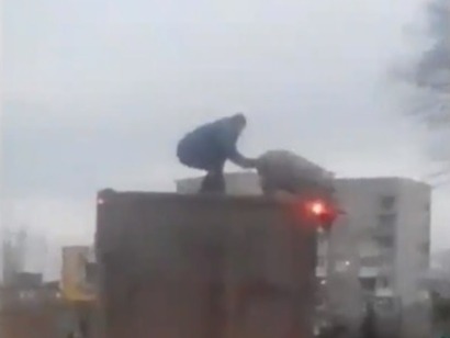 Украинец борется со свиньей на крыше грузовика! (эпичное ВИДЕО)