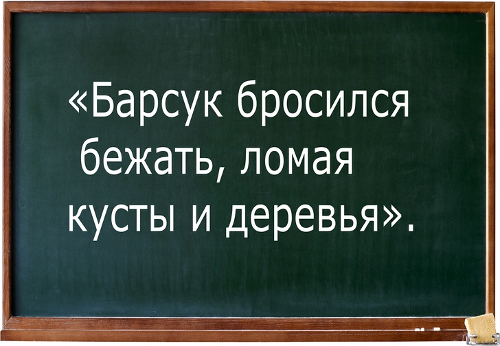 Еще 25 смешных цитат из школьных сочинений | maximonline.ru