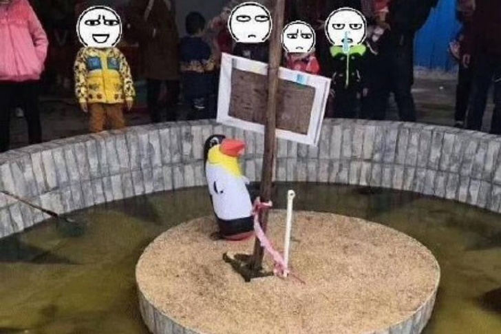 В Китае открылся зоопарк с надувным пингвинами