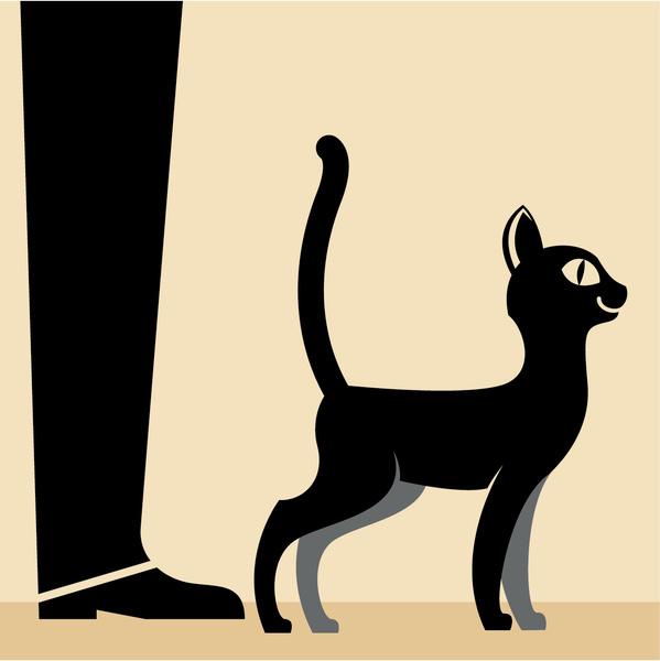 Как понять язык кота: Краткий человеко-кошачий словарь | MAXIM