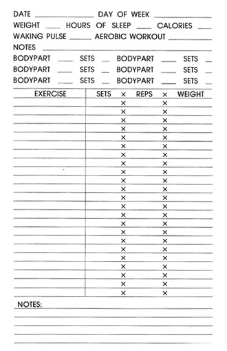 Какой ты морф? Программы тренировок для разных типов фигур