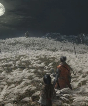 Интернет возмущен сложностью игры Sekiro: Shadows Die Twice