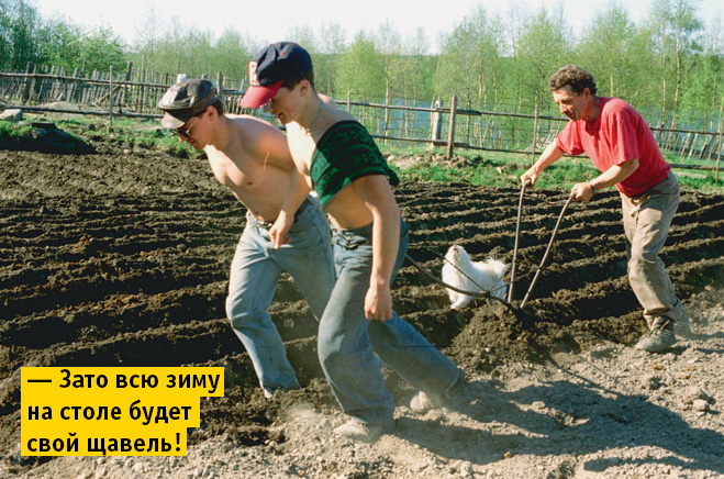 25 идиотизмов, которые нас окружают 25 идиотизмов, которые нас окружают