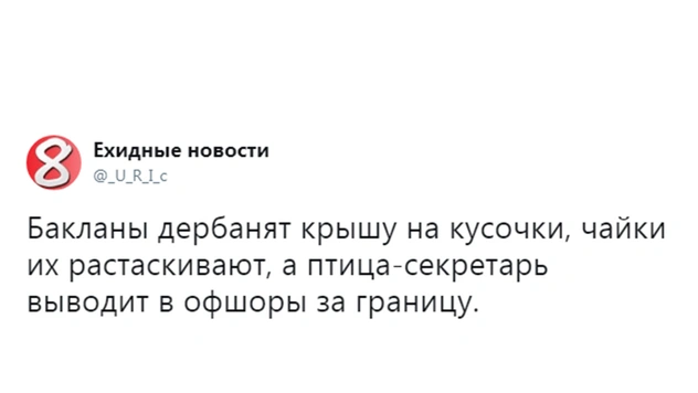 Лучшие шутки о бакланах, которые склевали крышу «Зенит-Арены»!