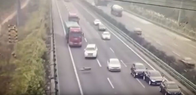 В Китае овцы спровоцировали жуткую массовую аварию (ВИДЕО) В Китае овцы спровоцировали жуткую массовую аварию (ВИДЕО)