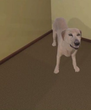 Виртуальный симулятор надрессирует человека, чтобы тот надрессировал собаку (видео)