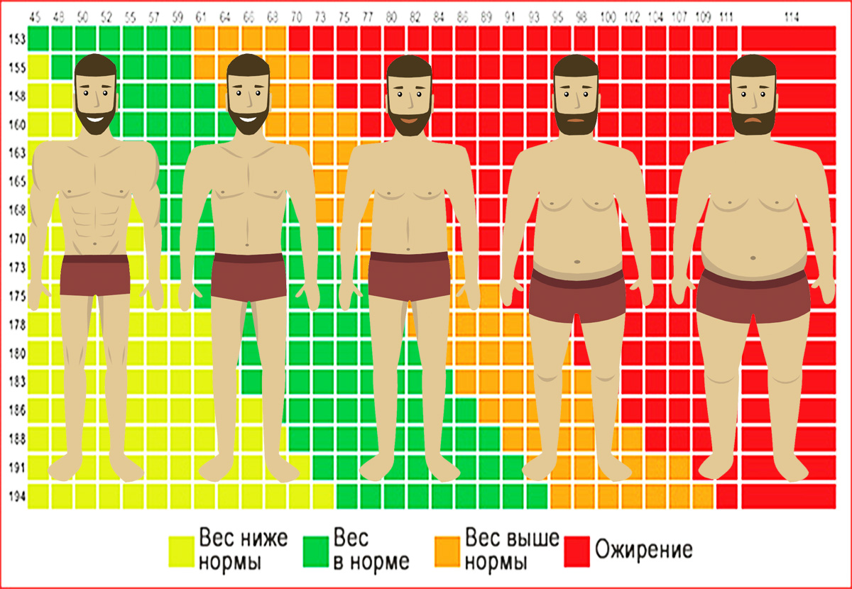 Правильный расчет индекса массы тела поможет оставаться в форме .