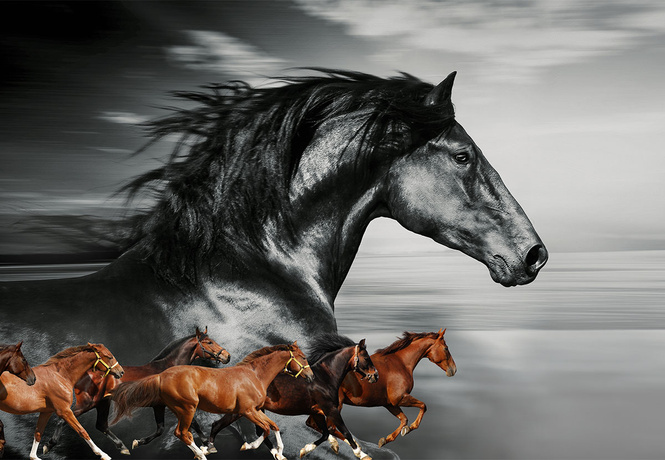 Как Крепыш со Сметанкой коневодство поднимали: неожиданно захватывающая история лошадиных пород