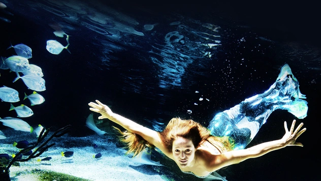 Как завести морской аквариум