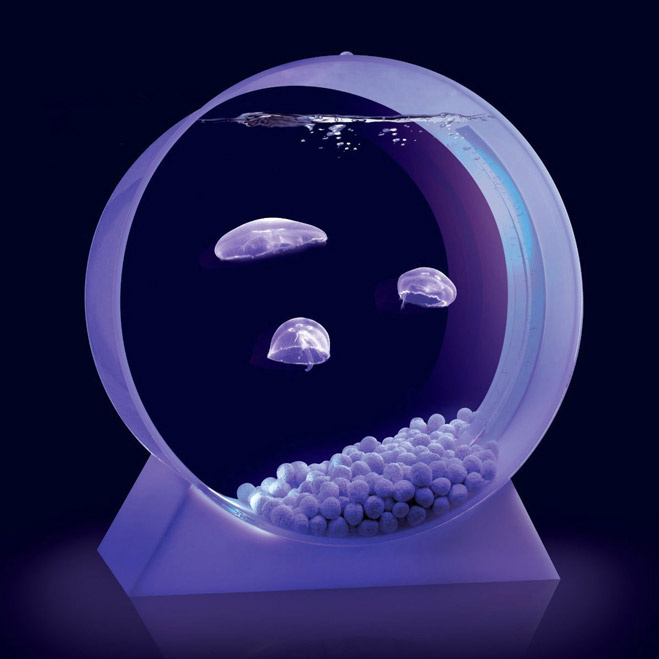 Jellyfish Tank — аквариум с медузами Jellyfish Tank — аквариум с медузами