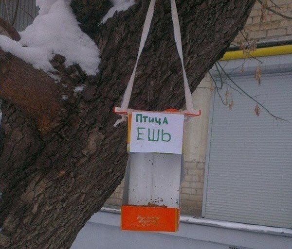 Самые смешные картинки недели и молебен о прекращении майнинга Самые смешные картинки недели и молебен о прекращении майнинга