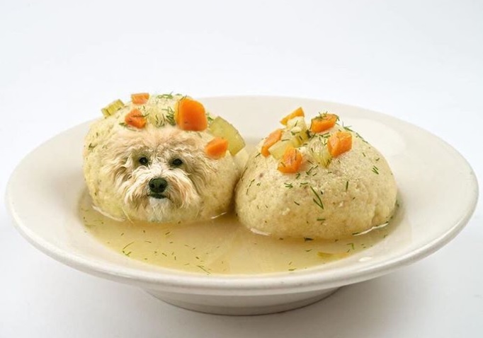 Фото №1 - Собаки в еде — лучший «Инстаграм» сезона!