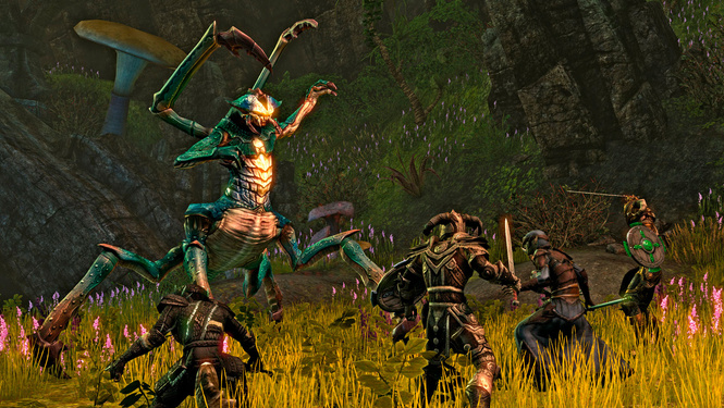 5 причин потратить все деньги на онлайн-игру The Elder Scrolls Online 5 причин потратить все деньги на онлайн-игру The Elder Scrolls Online