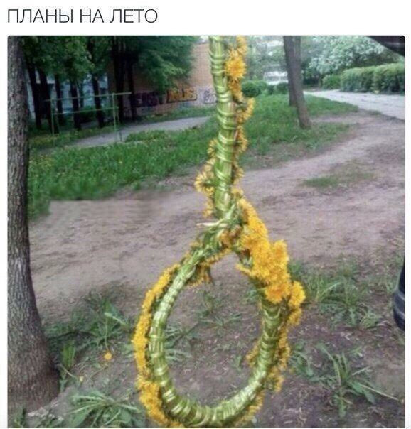 Самые смешные картинки недели Самые смешные картинки недели