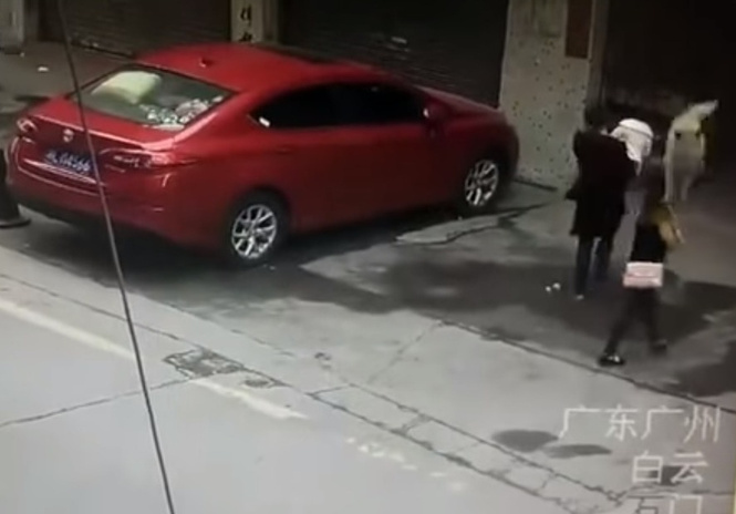 Девушке с неба на голову свалилась собака! Внезапно! Живая! (сногсшибательное ВИДЕО) Девушке с неба на голову свалилась собака! Внезапно! Живая! (сногсшибательное ВИДЕО)