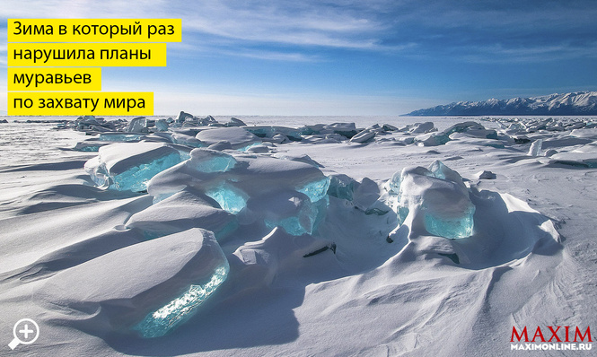 12 самых необычных моментов 2013 года 12 самых необычных моментов 2013 года