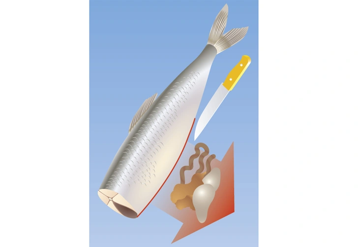 Как избавить селедку от костей: пошаговая инструкция в картинках