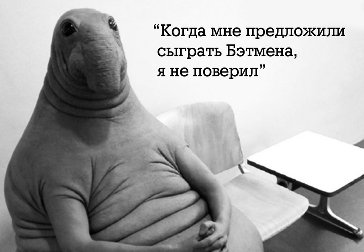 Фото №1 - Правила жизни Ждуна