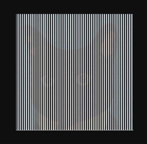 Оптическая иллюзия: потряси головой, чтобы увидеть фото, спрятанное в полосках