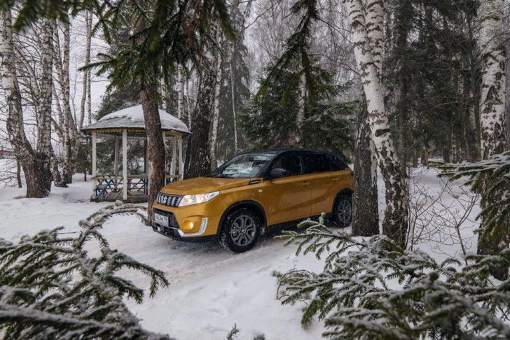 Suzuki Vitara: машина-раскраска