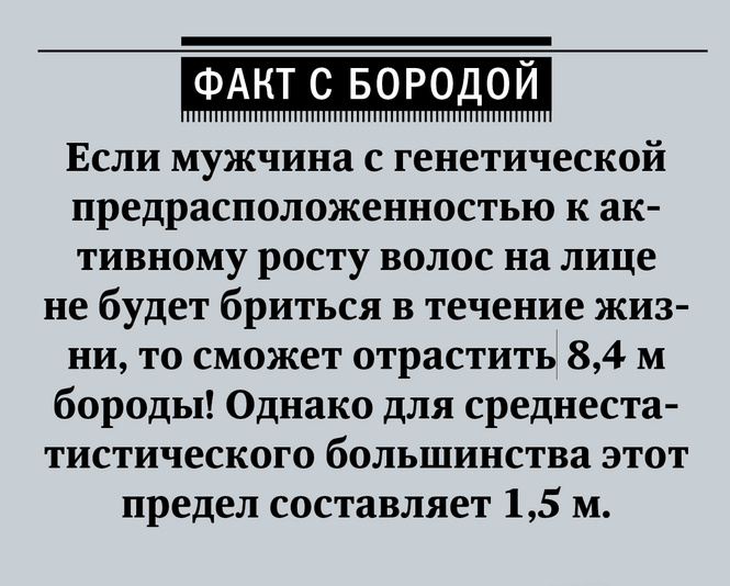 Ода брадости! Как выбирать, отращивать и ухаживать за бородой — гид MAXIM Ода брадости! Как выбирать, отращивать и ухаживать за бородой — гид MAXIM