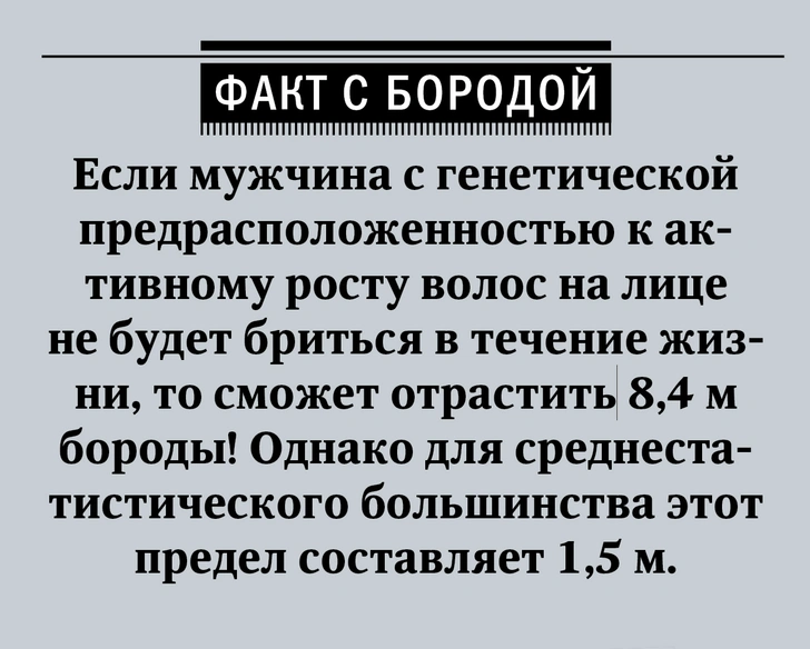 Ода брадости! Как отрастить бороду и ухаживать за ней — гид MAXIM