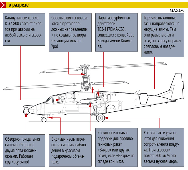 Ка-52 «Аллигатор» в разрезе