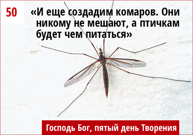 Комары