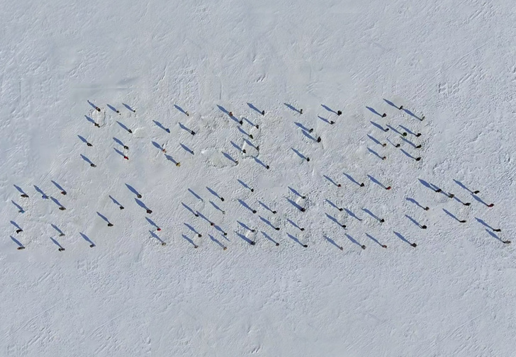 Фото №1 - В Екатеринбурге 100 танцоров выстроились на льду в нецензурную надпись