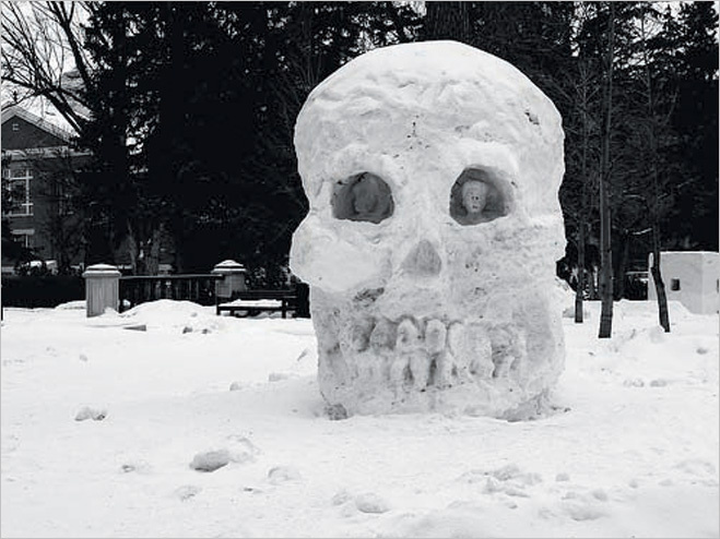 Череп из снега Череп из снега