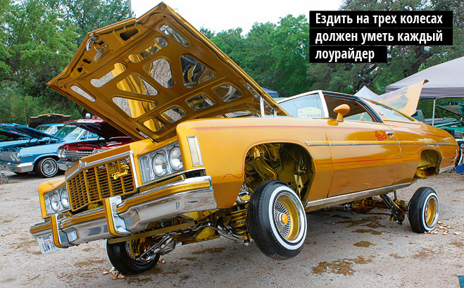 Ездить на трех колесах должен уметь каждый лоурайдер Ездить на трех колесах должен уметь каждый лоурайдер