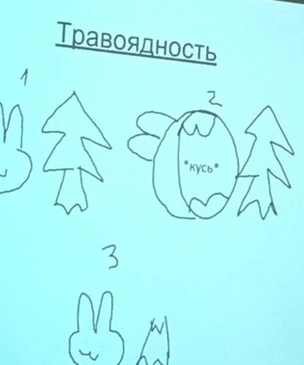 «Презентация года» по биологии, которая заменит тебе школьный курс