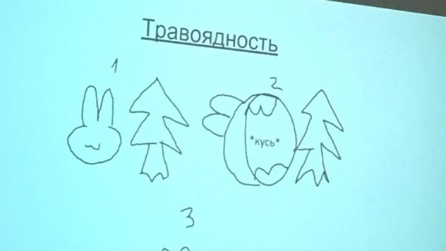 «Презентация года» по биологии, которая заменит тебе школьный курс